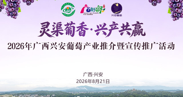 直播：兴安葡萄产业推介暨宣传推广活动