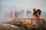 4月14日，黑河市森林消防支队在嫩江市卧都河林场进行实战灭火演练。